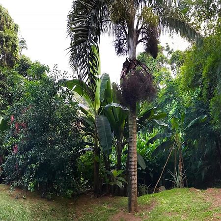 La Nature Apartments Au Cap Номер фото